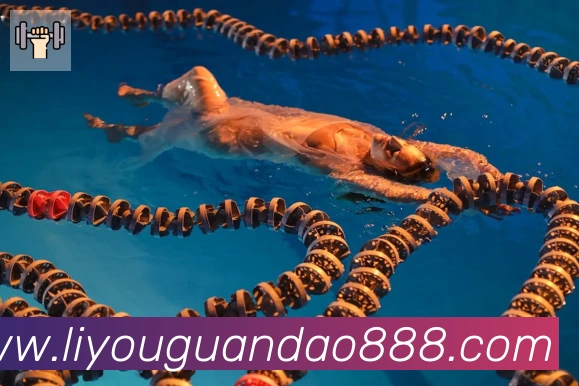 九游网页版页面登入界面荣誉